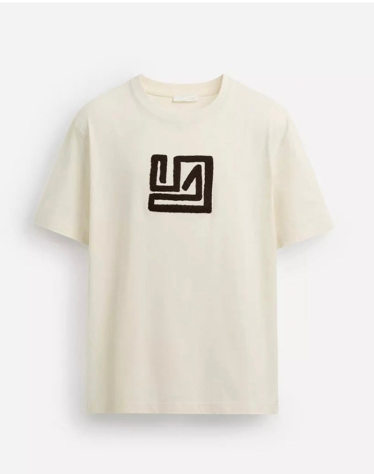 Zara T Shirt in Beige