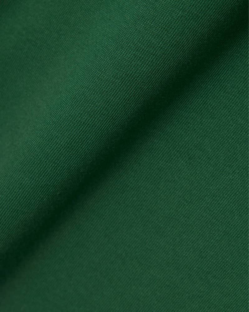 Lacoste T Shirt in Green