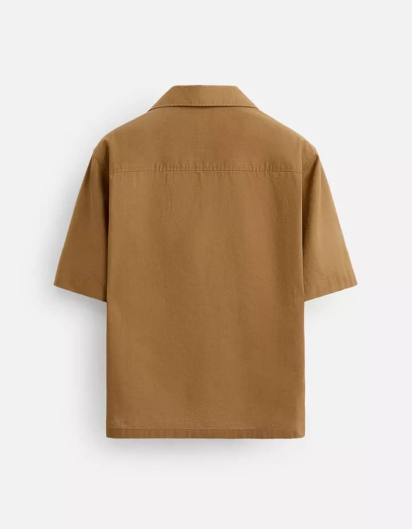 Zara Shirt in Brown Pattern