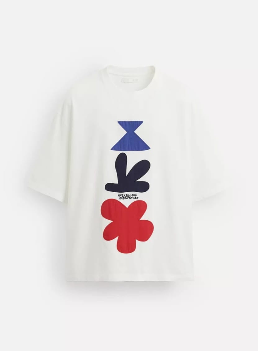 Zara Regular Fit Cotton T Shirt