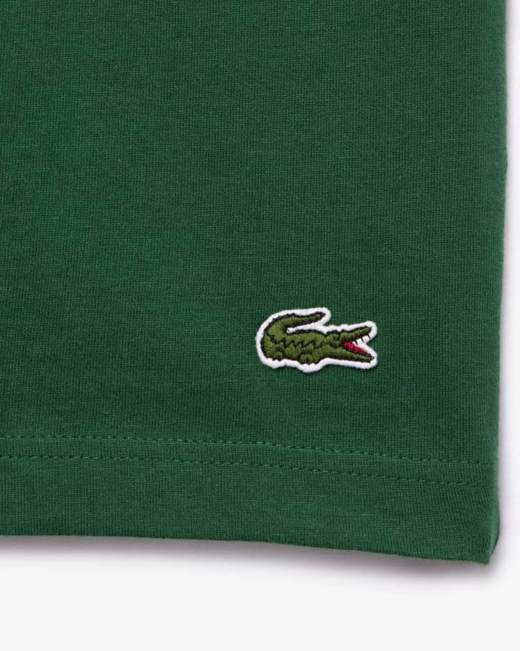 Lacoste T Shirt in Green