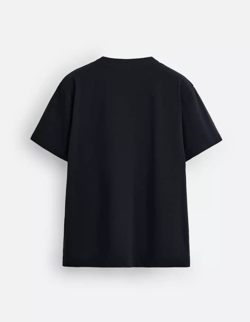Zara Button Neck T Shirt in Navy