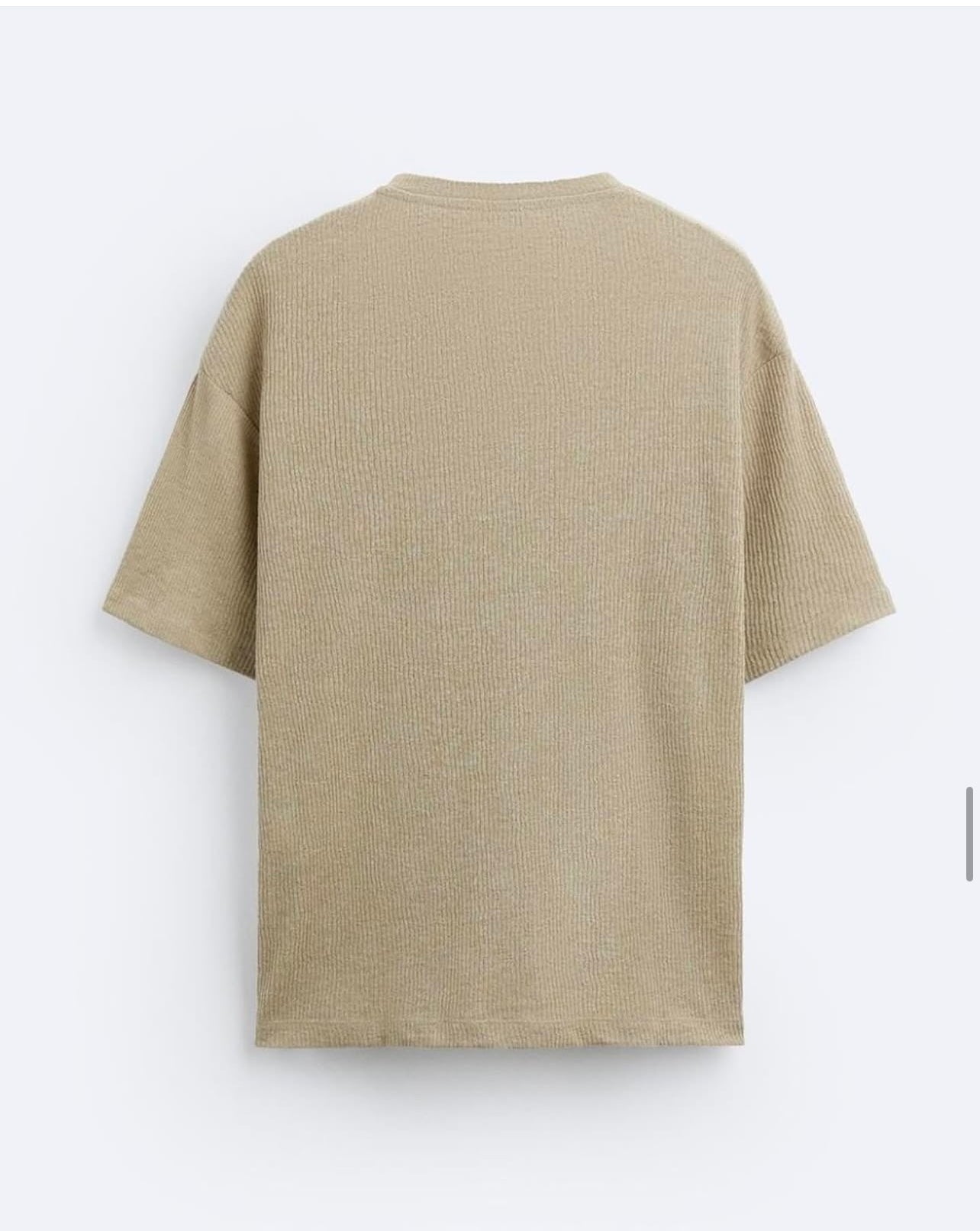 Zara Regular Fit T shirt With Button Neck