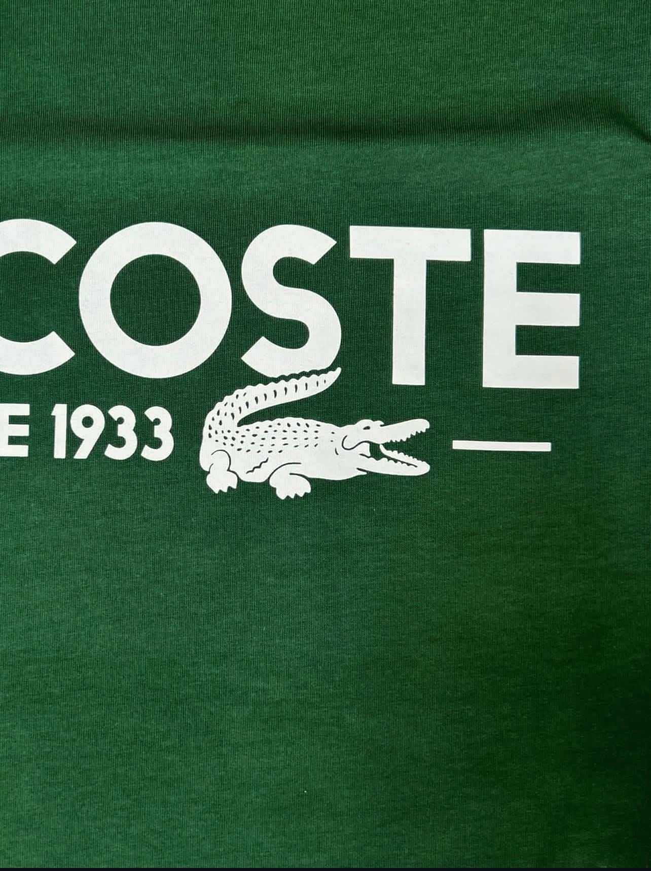 Lacoste T Shirt in Green