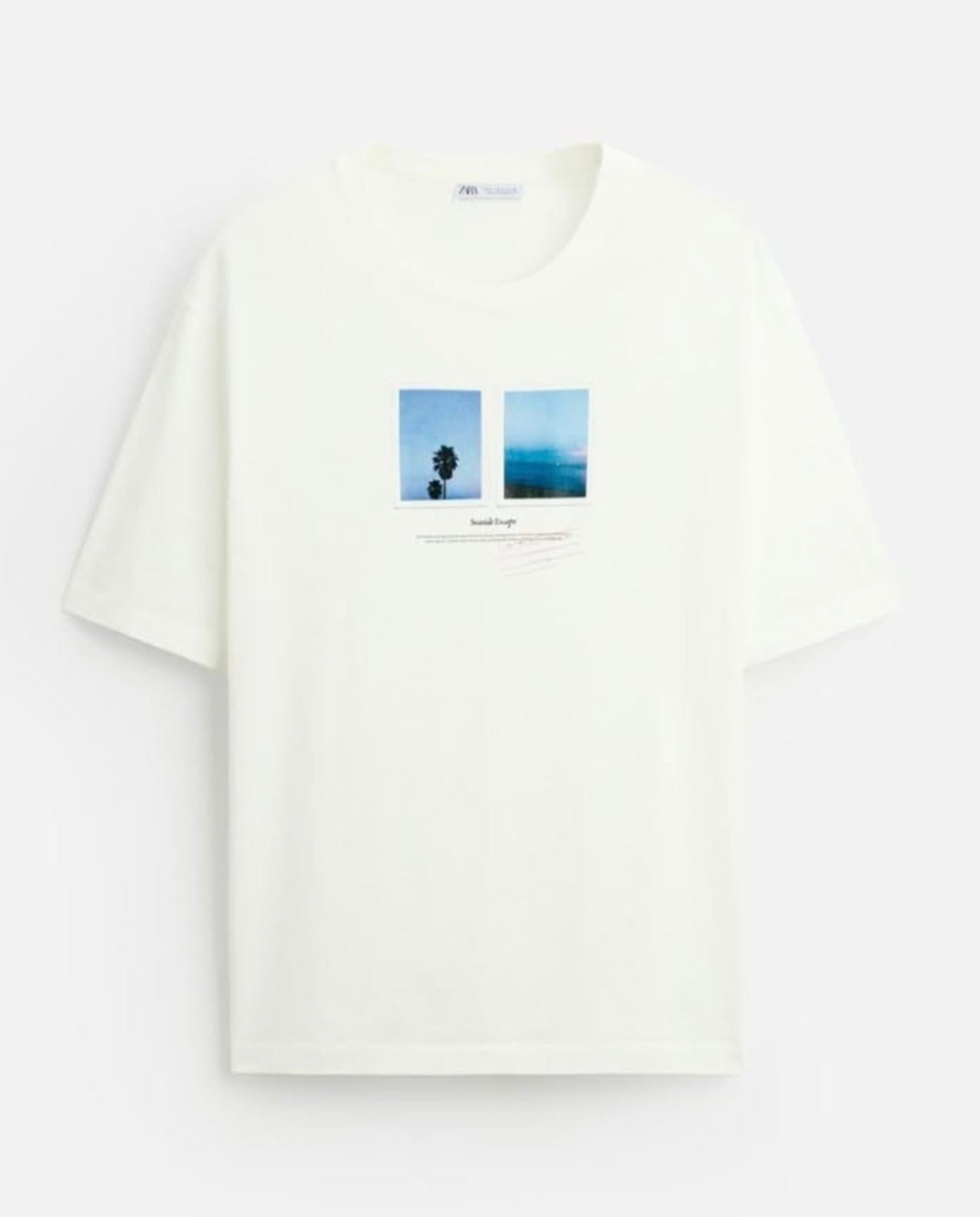 Zara Regular Fit T Shirt