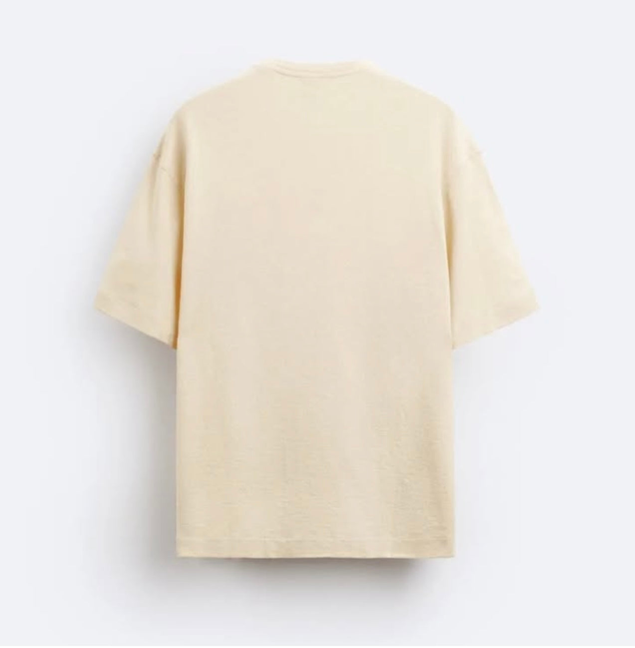 Zara T Shirt With Embroidery
