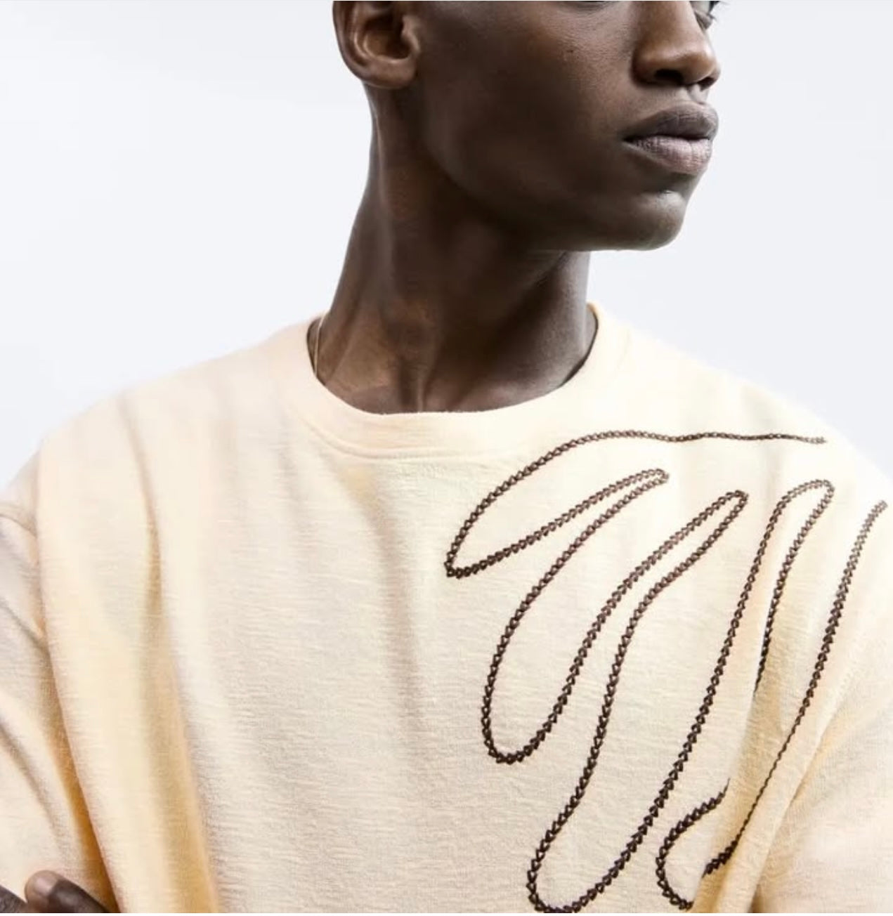 Zara T Shirt With Embroidery