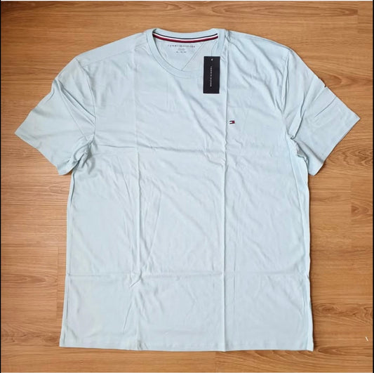 Tommy Hilfiger Regular Fit Blue T Shirt