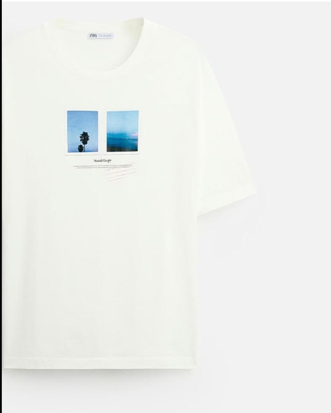 Zara Regular Fit T Shirt