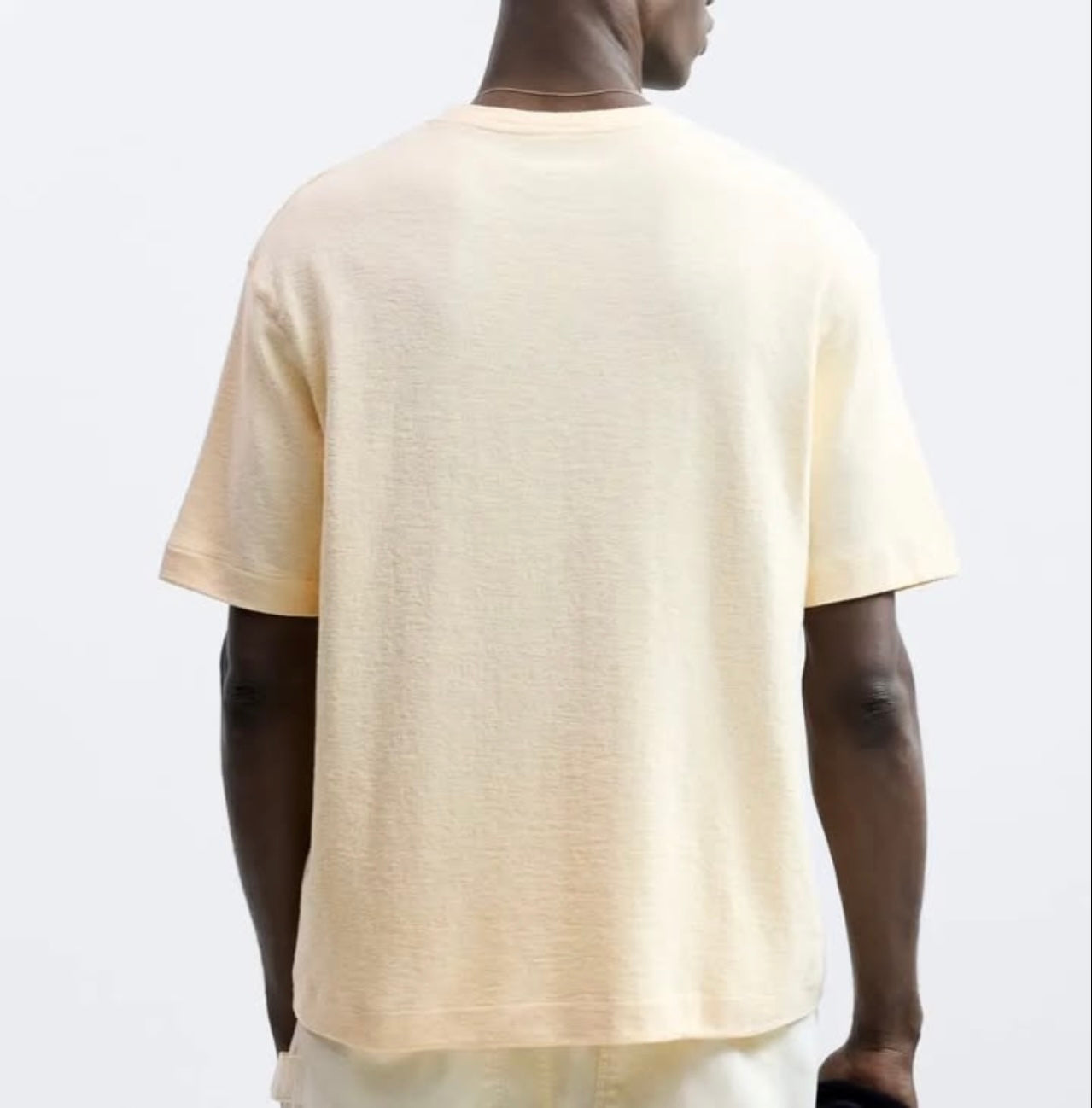 Zara T Shirt With Embroidery