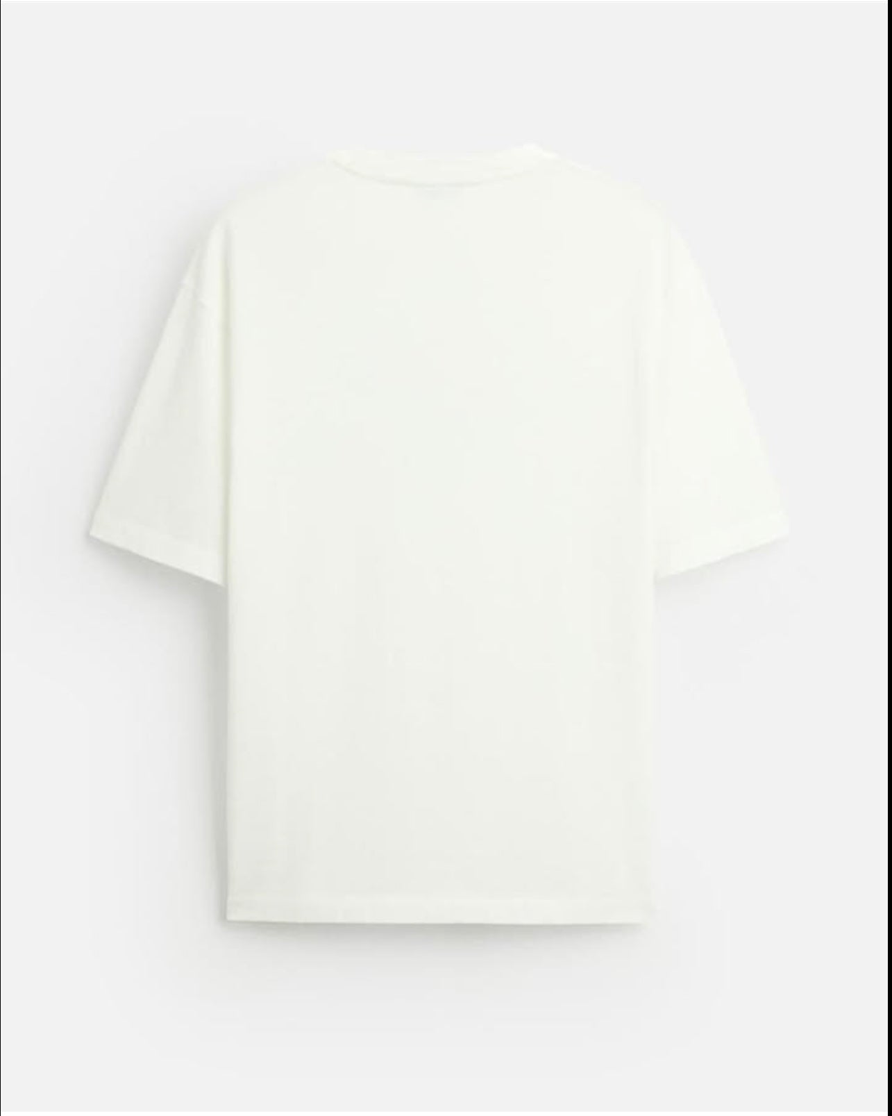 Zara Regular Fit T Shirt