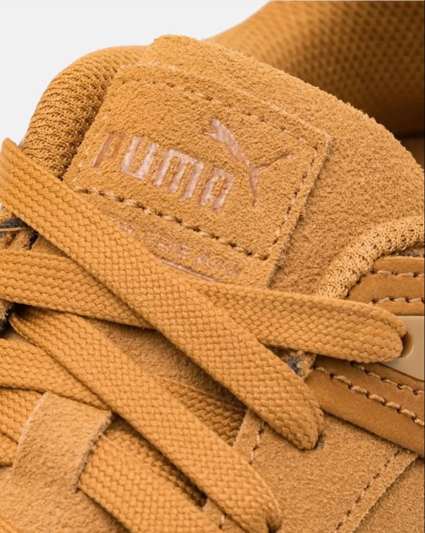 Puma Trainers in Brown
