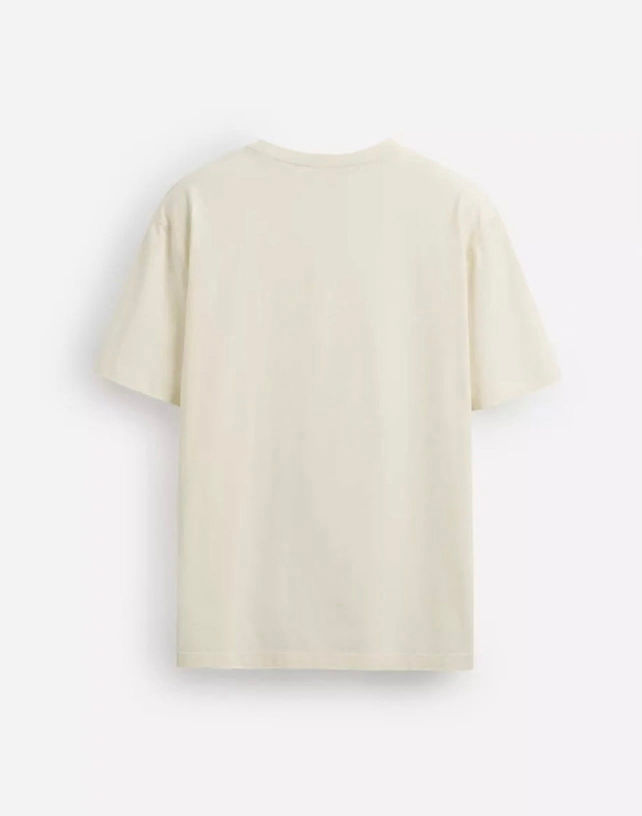 Zara T Shirt in Beige