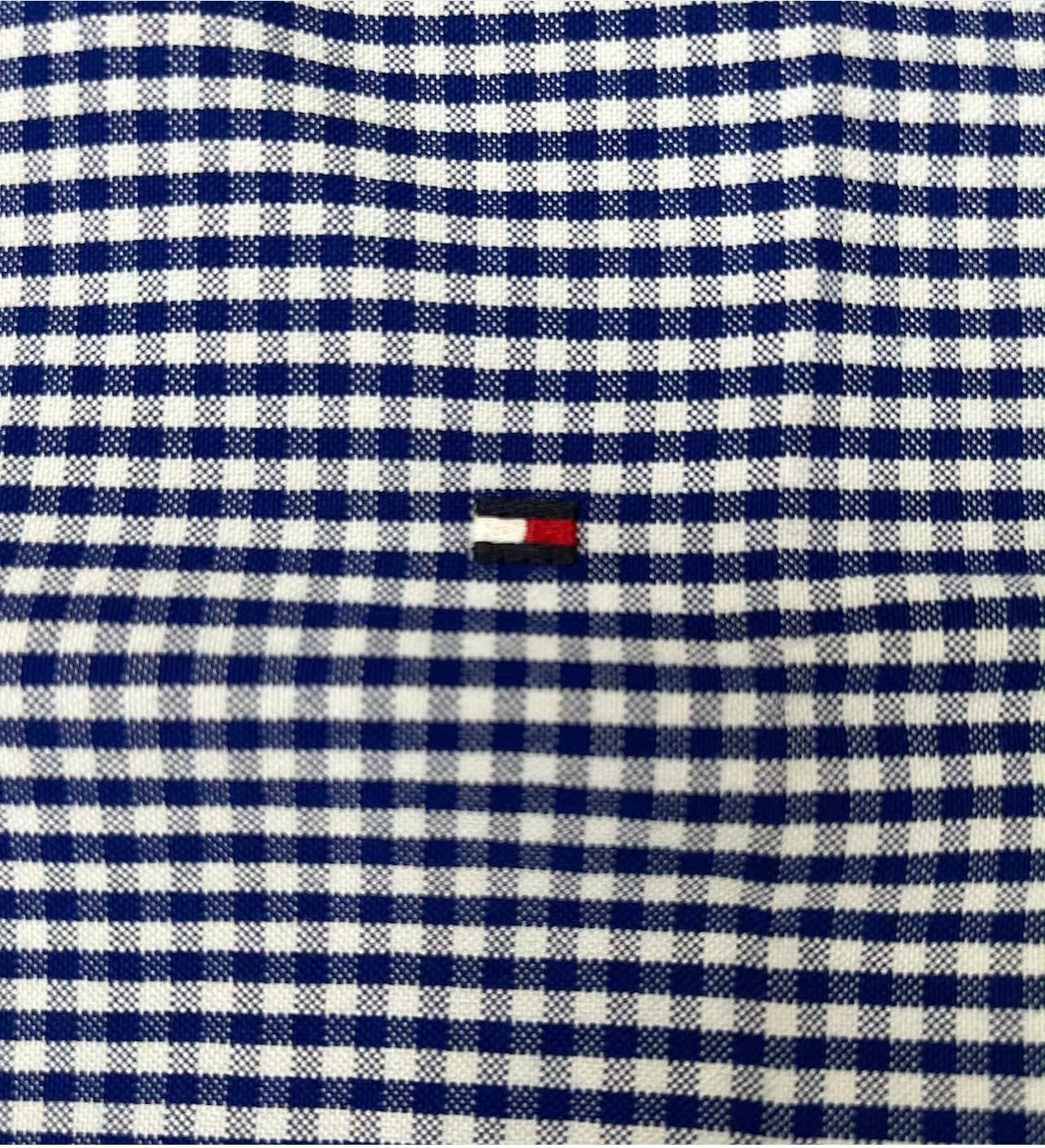 Tommy Hilfiger Regular Fit Check Oxford Shirt in Blue/Navy