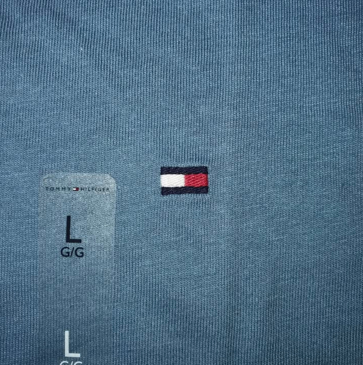 Tommy Hilfiger Regular Fit T Shirt in Blue