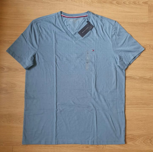 Tommy Hilfiger Regular Fit T Shirt in Blue