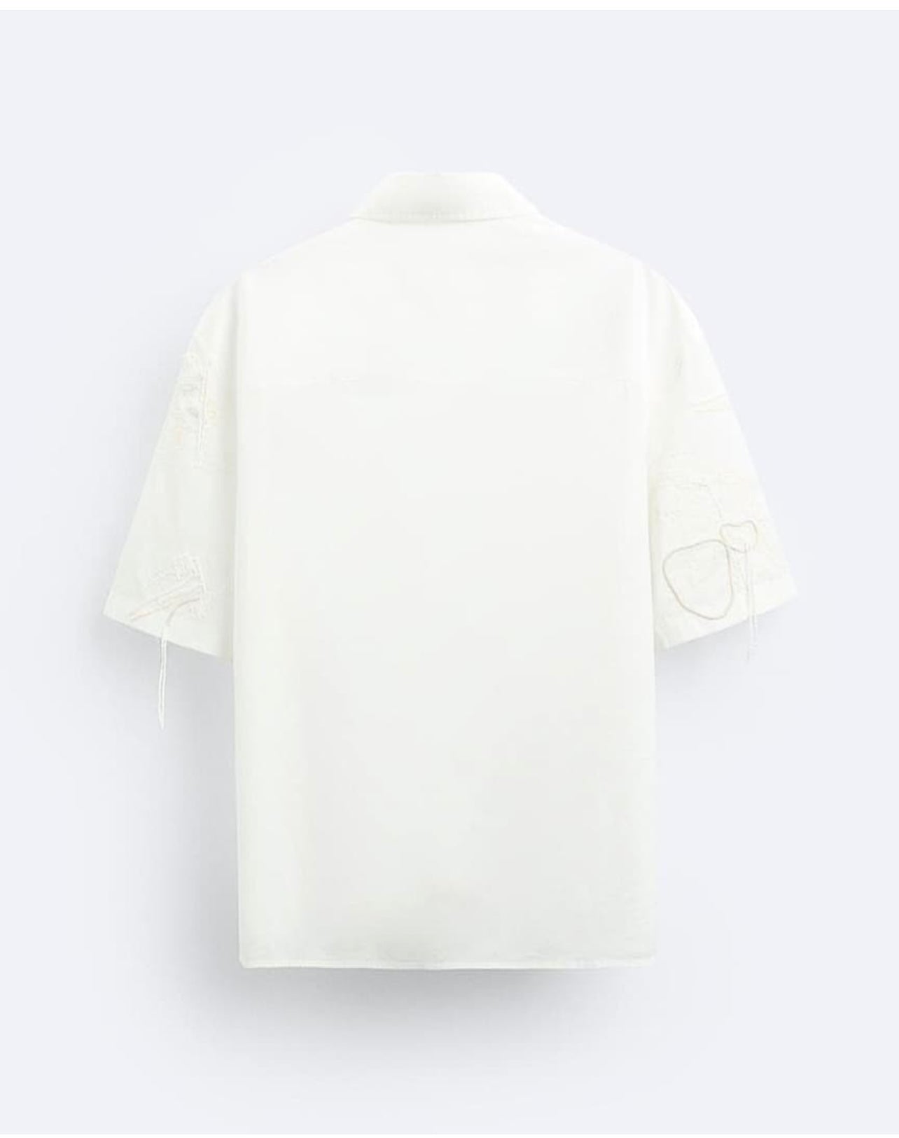 Zara Regular Fit Embroidered Shirt