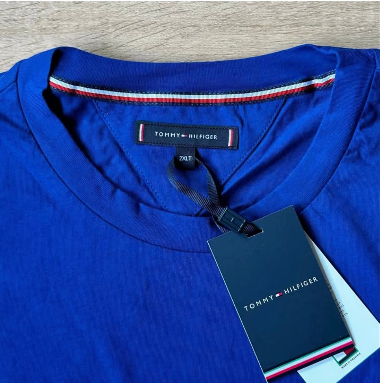 Tommy Hilfiger Cotton T Shirt in Blue