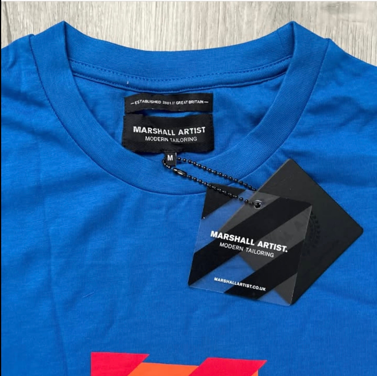 Marshall Artist T shirt in Blue