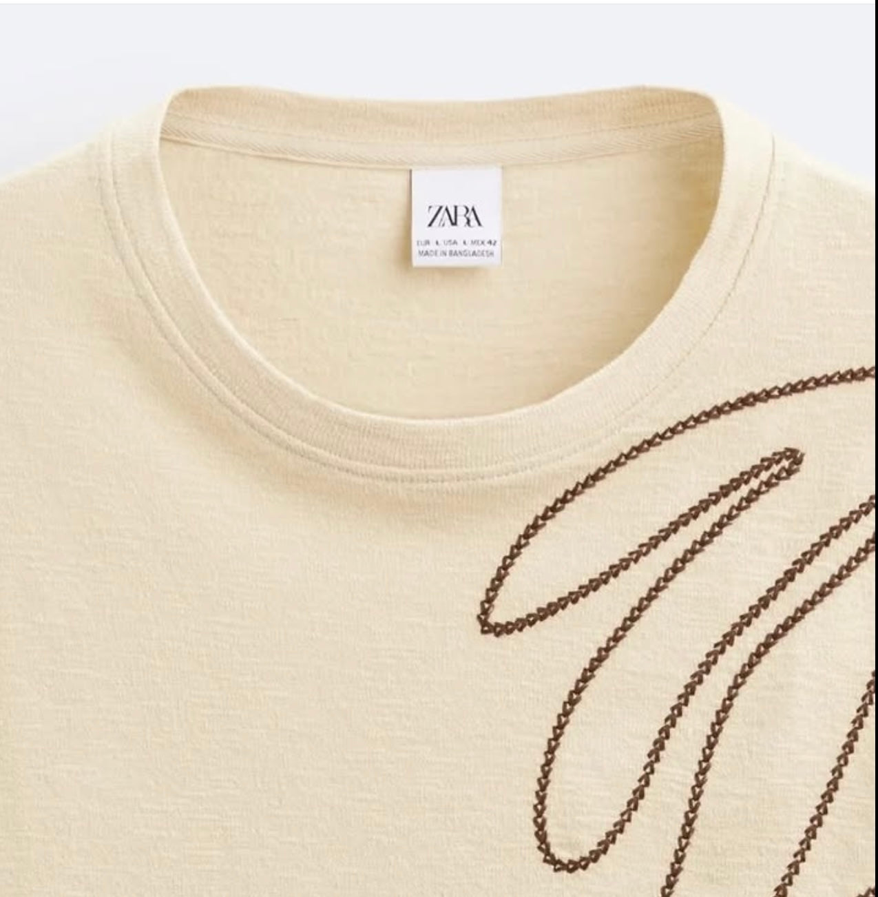 Zara T Shirt With Embroidery