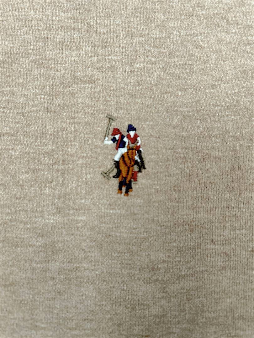 Regular Fit Cotton Polo Shirt in Beige
