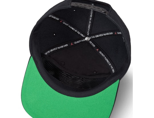 Air Jordan Pro Baseball Cap