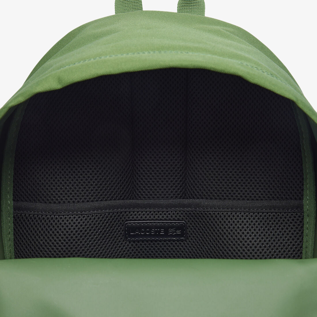 Lacoste Backpack In Green