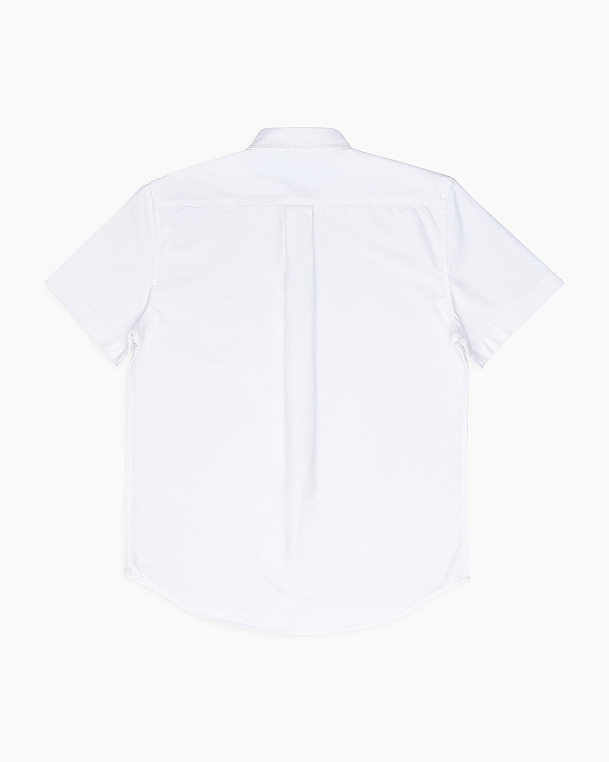 US Polo Assn Shirt in White