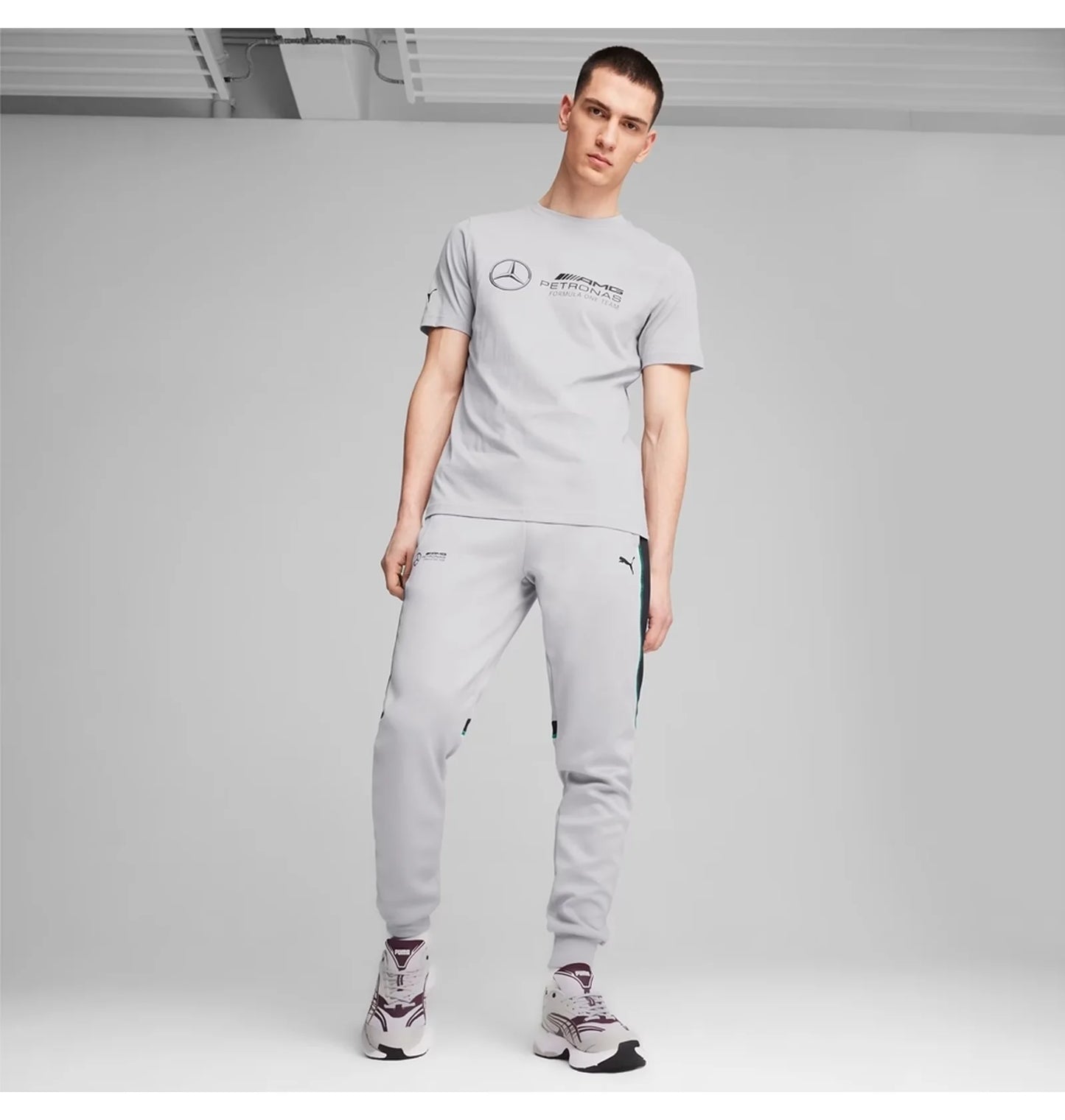 Puma Mercedes-AMG Petronas F1 MT7+ Track Pant In Grey