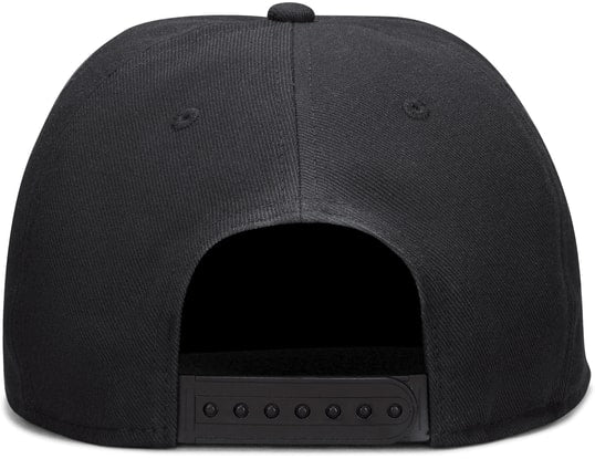 Air Jordan Pro Baseball Cap