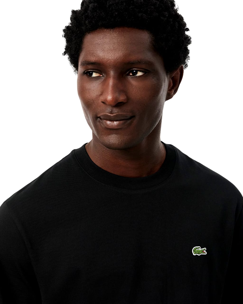 Lacoste Classic Fit Cotton T-Shirt In Black