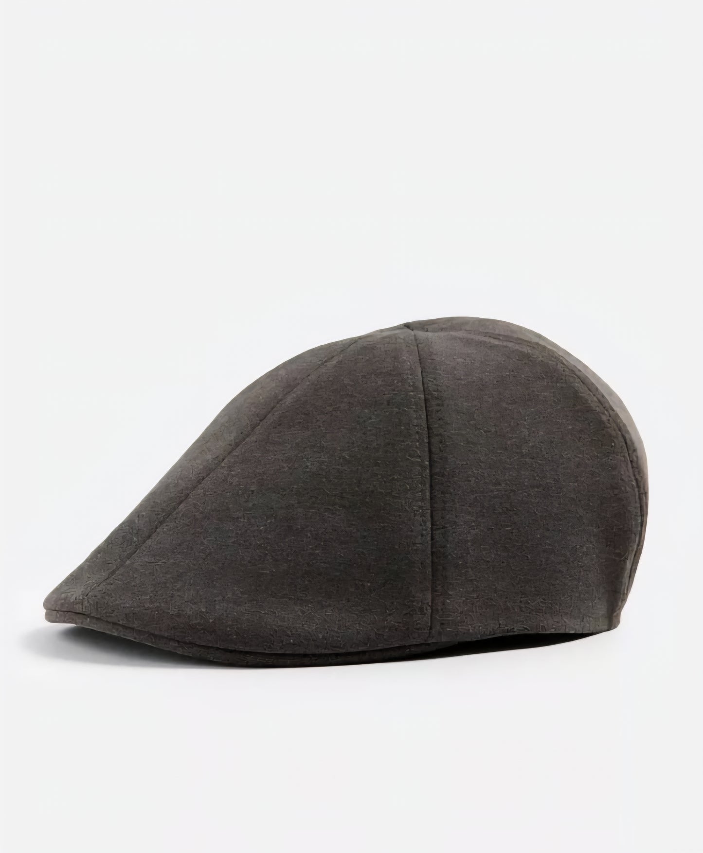 Zara Flannel Beret