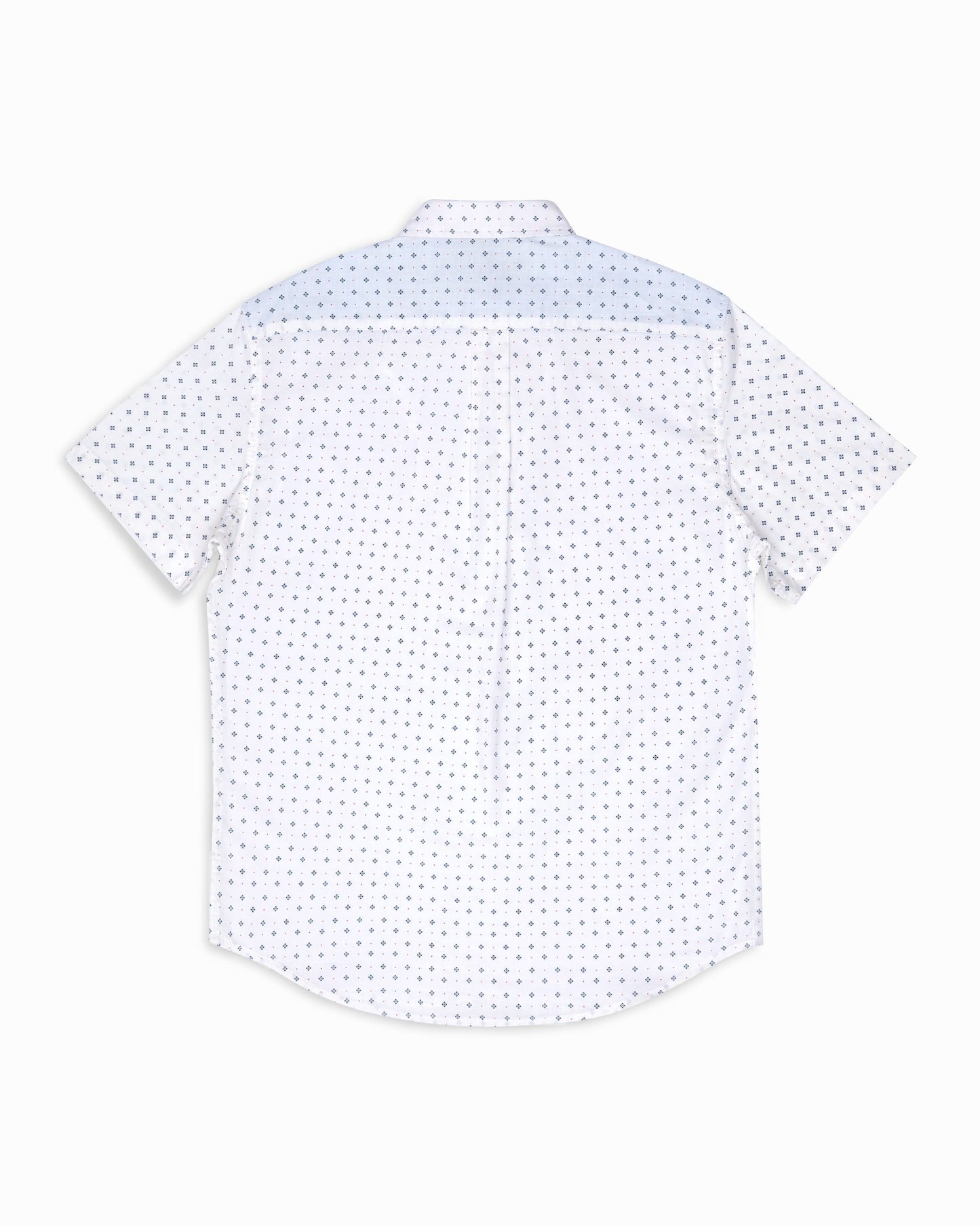 Us Polo Assn Regular Fit Shirt